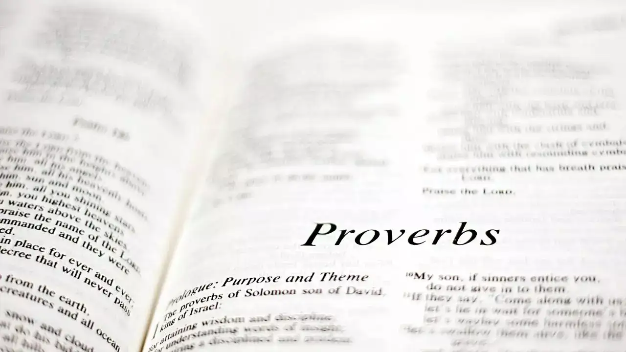 Japanese proverb of the day, 