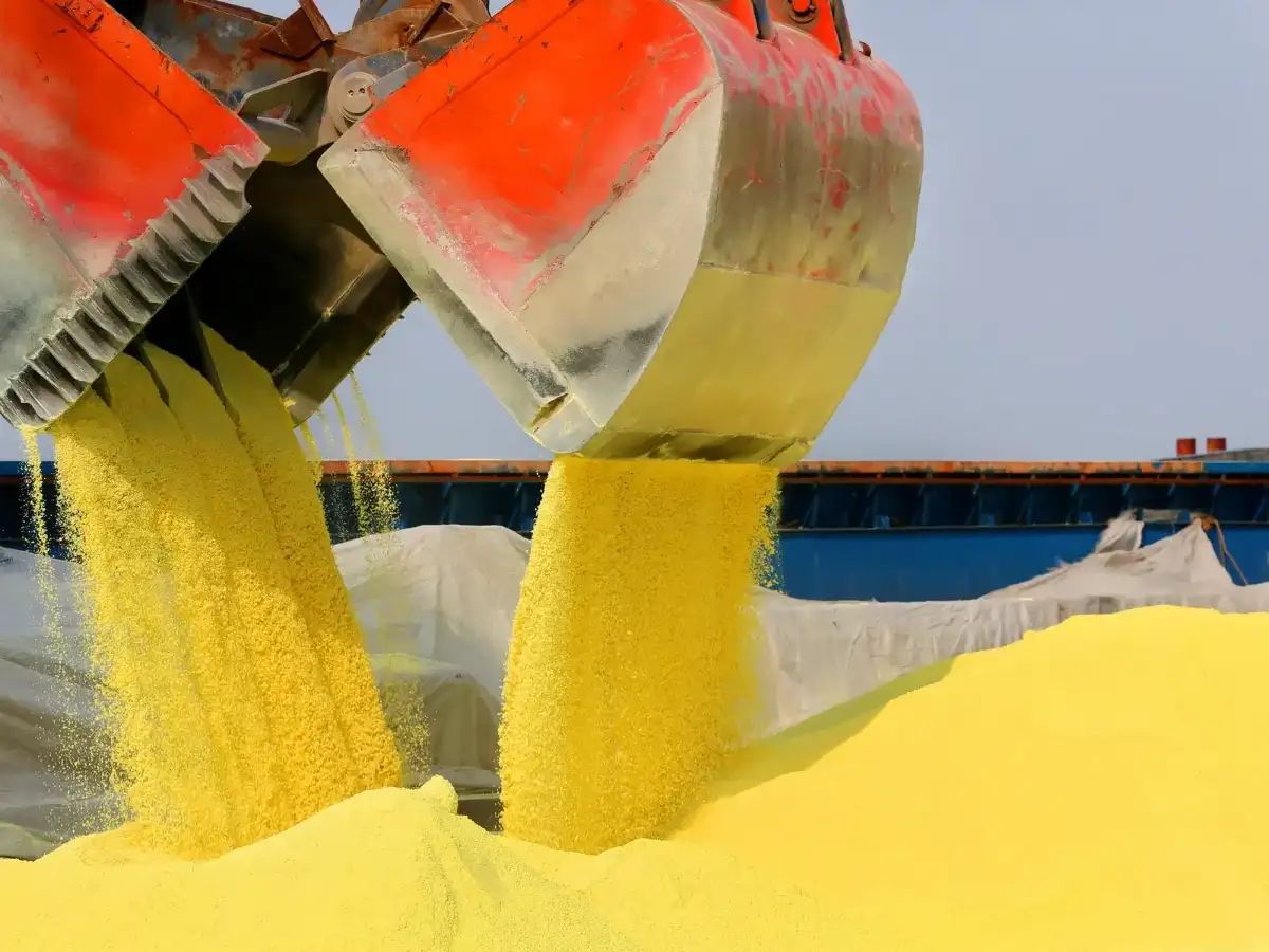 West Asia War: India could limit sulphur exports as supplies tighten, sources say