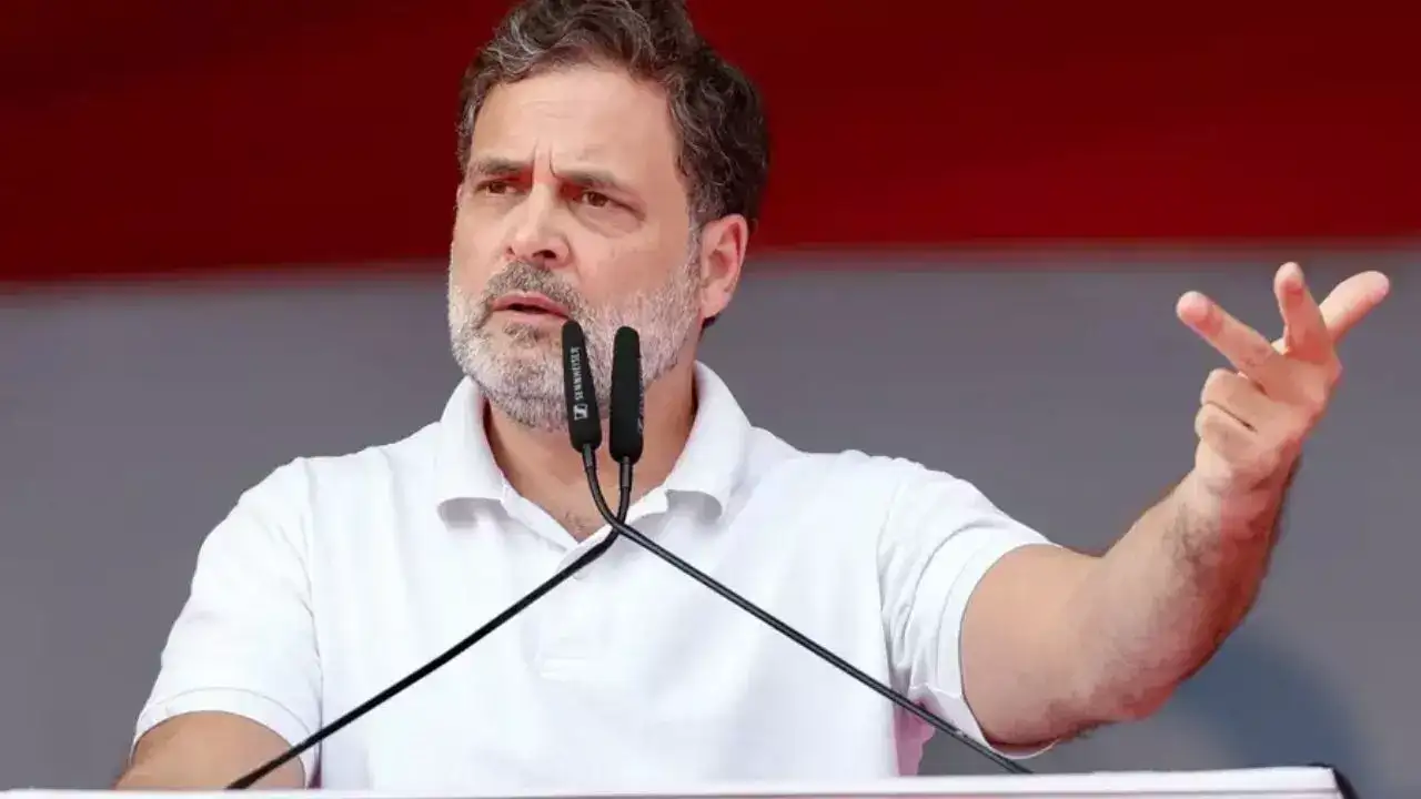 HC order for FIR against Rahul Gandhi in dual citizenship case surprising, unwarranted: Gehlot