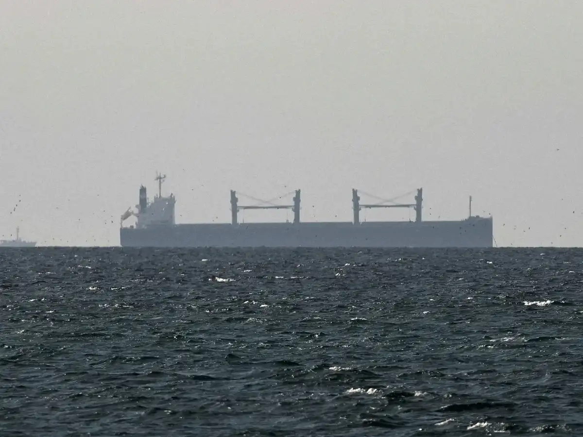 Indian-flagged vessel attacked while crossing Strait of Hormuz: Govt source