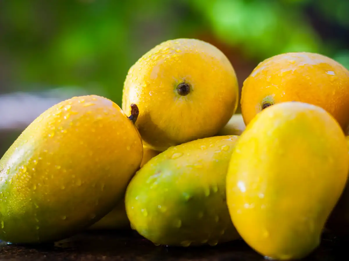 7 summer foods to boost your immunity naturally and stay healthy in the heat​