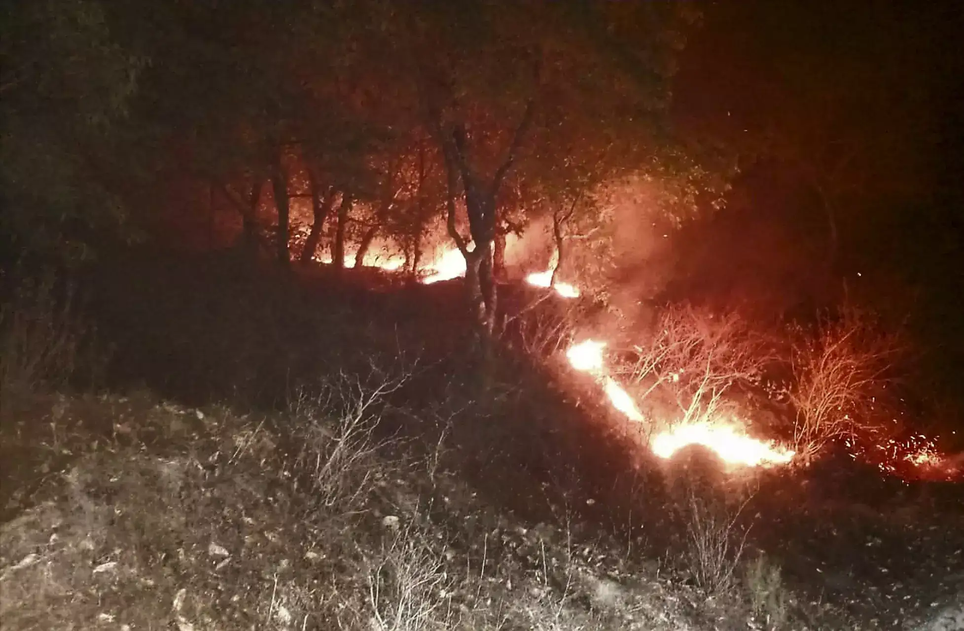 Breaking News Live Updates: Forest fires break out at two locations in Nainital