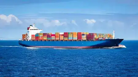 Widening CAD Sparks Concern Amid West Asia Uncertainty