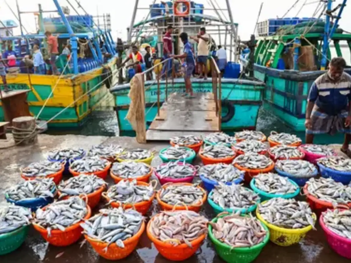 India’s Seafood Exports Surge 11.2% to $8.28 Billion in FY 2025-26