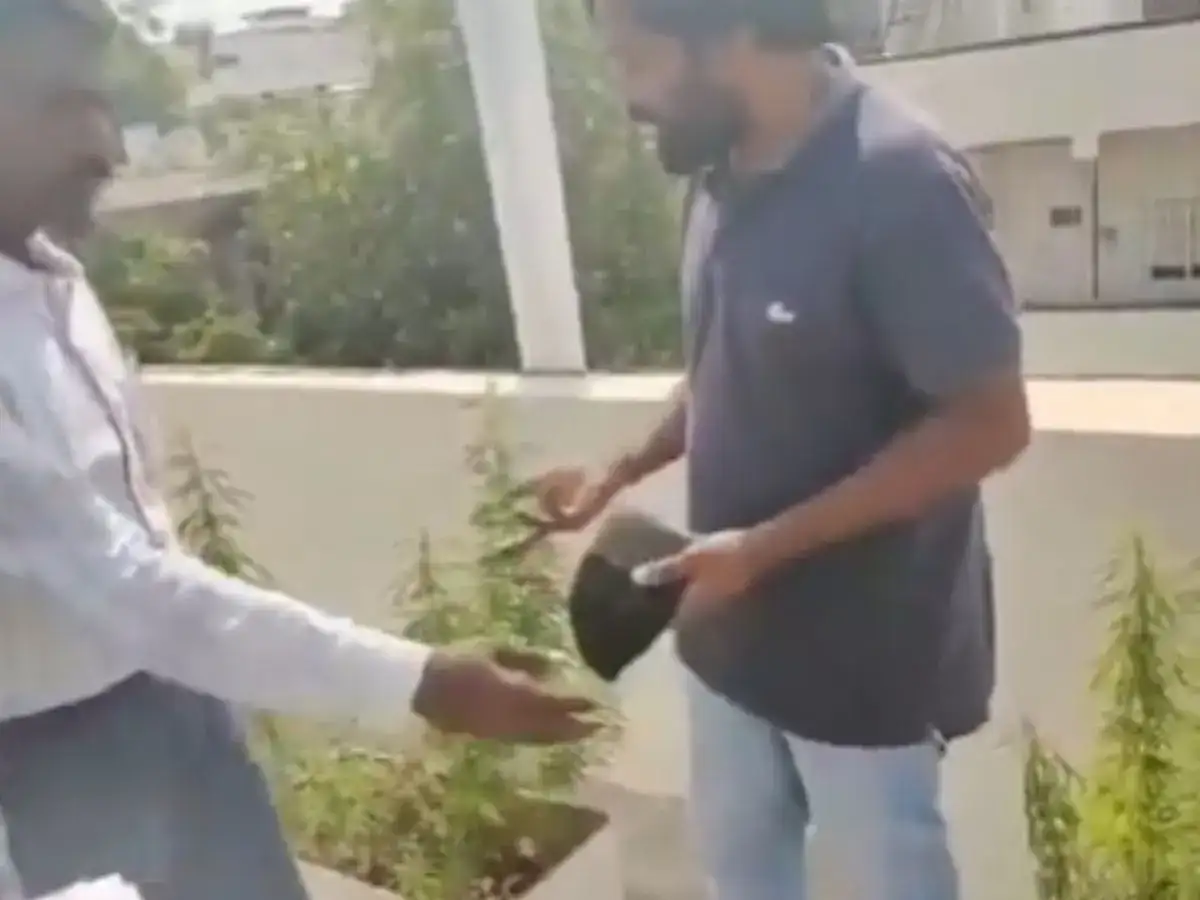 Hyderabad laid-off techie turns 'ganja engineer' on terrace; 17 plants that could yield 10 kg seized