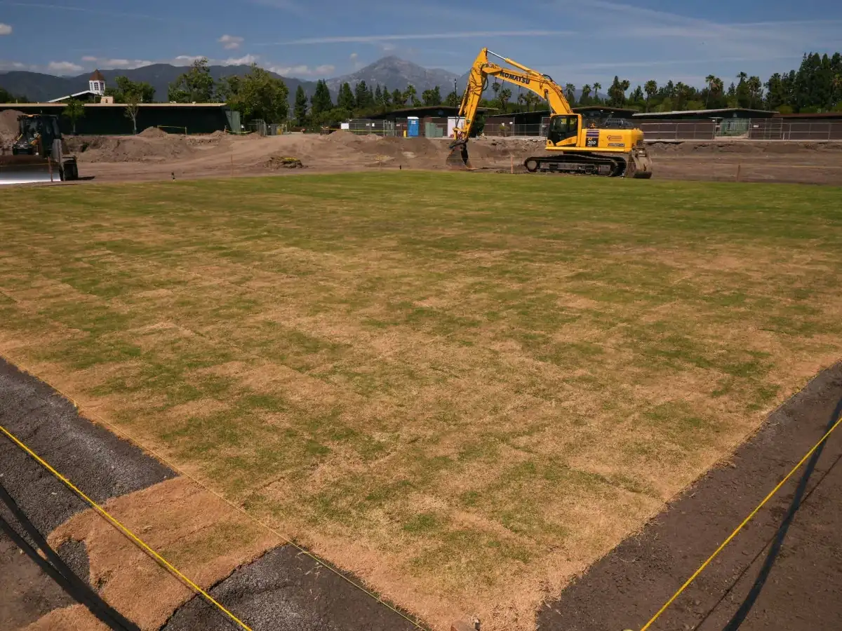 Knight Riders home base to host Olympic cricket: ICC CEO