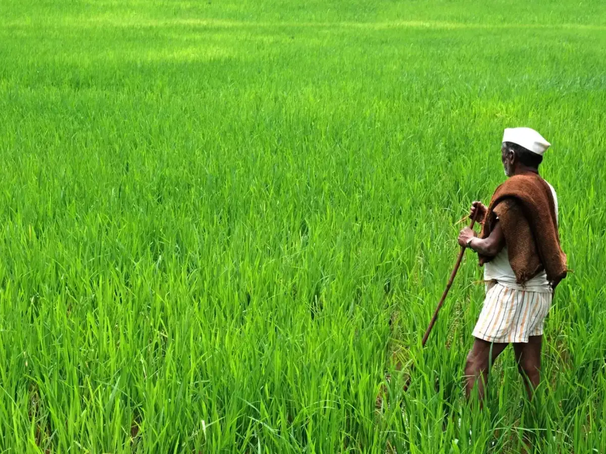 Maharashtra Agri Dealers Strike on April 27 Amid Regulatory Protests