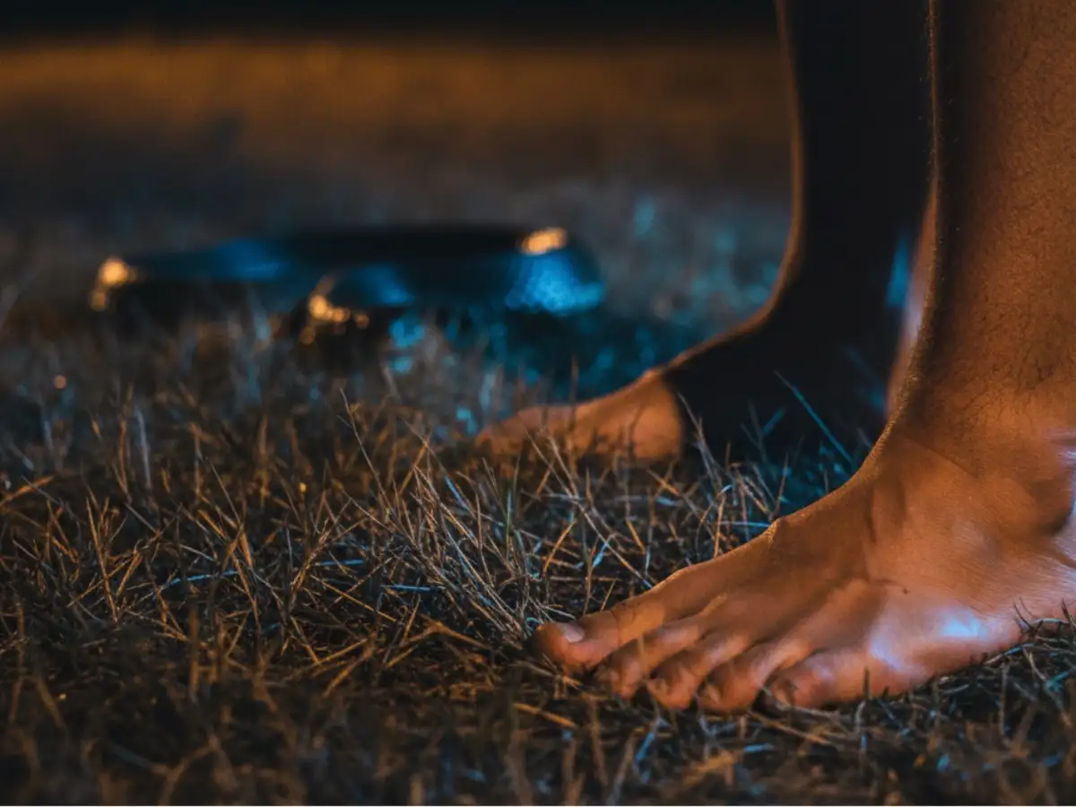 The Simple Night Habit That Can Prevent a Snake Encounter