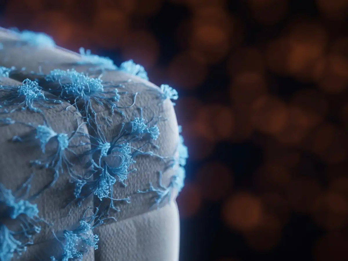 A Simple Routine for a Cleaner Mattress