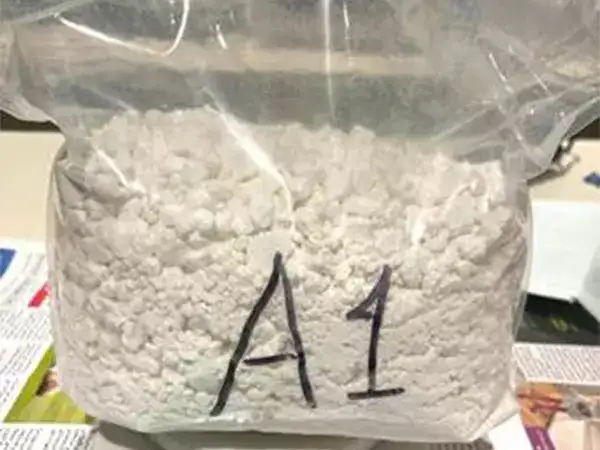 Narcotics ring busted with 349 kg cocaine worth Rs 1,745 crore in Mumbai