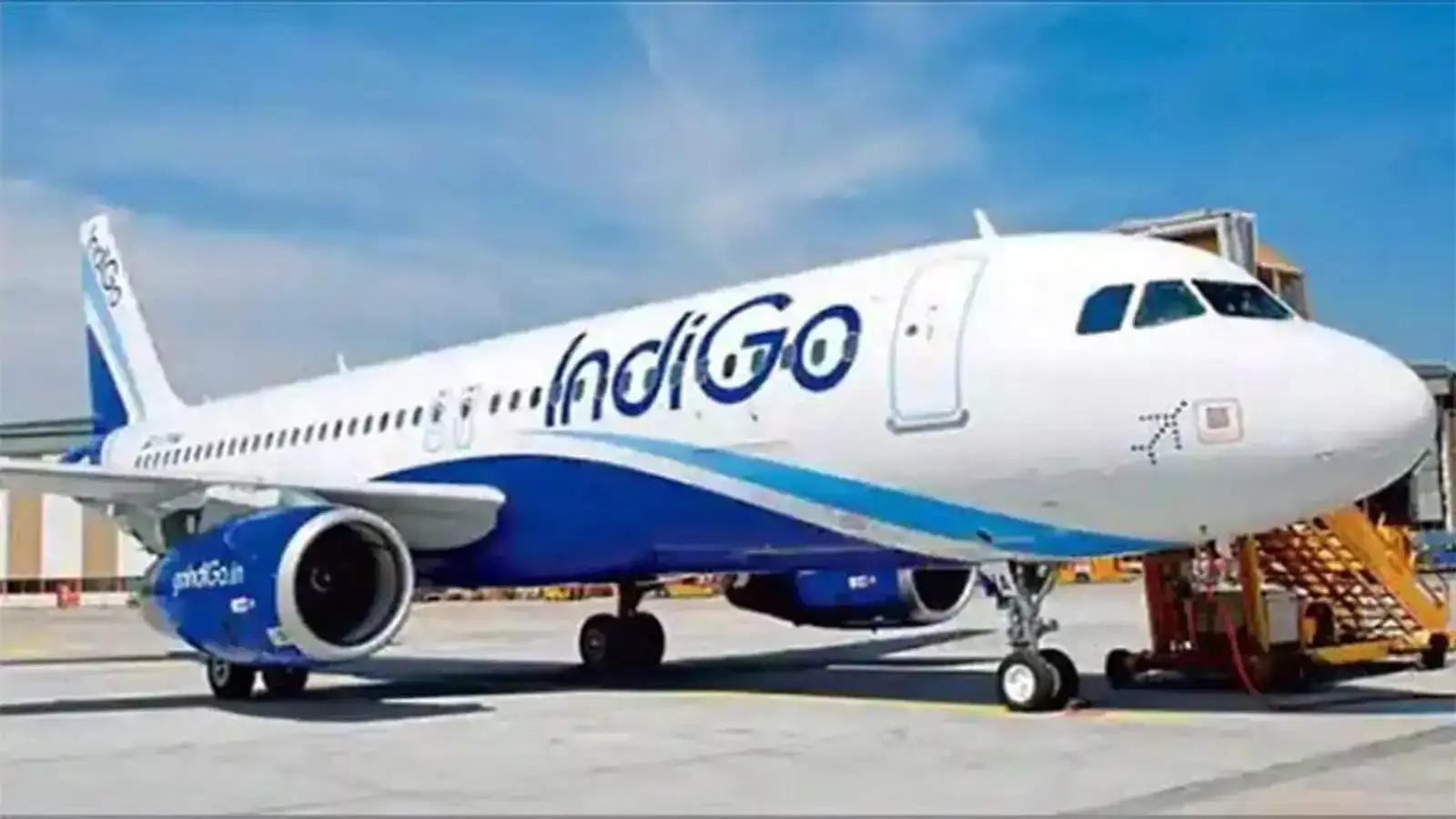 Close call at Lucknow Airport: Monkey disrupts IndiGo take-off, forces mid-runway abort and delays flights