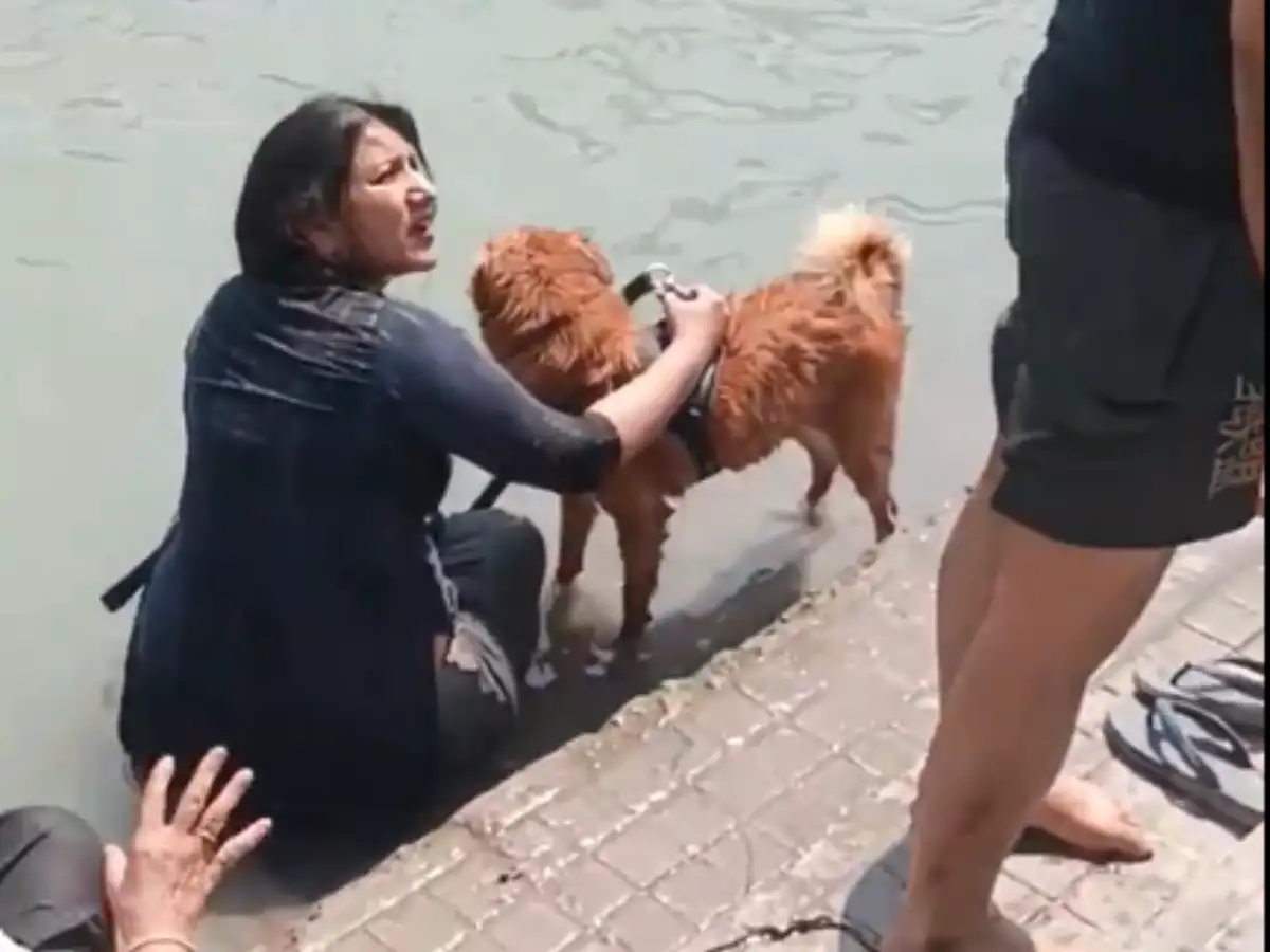 Woman bathes dog at Haridwar ghat, video goes viral
