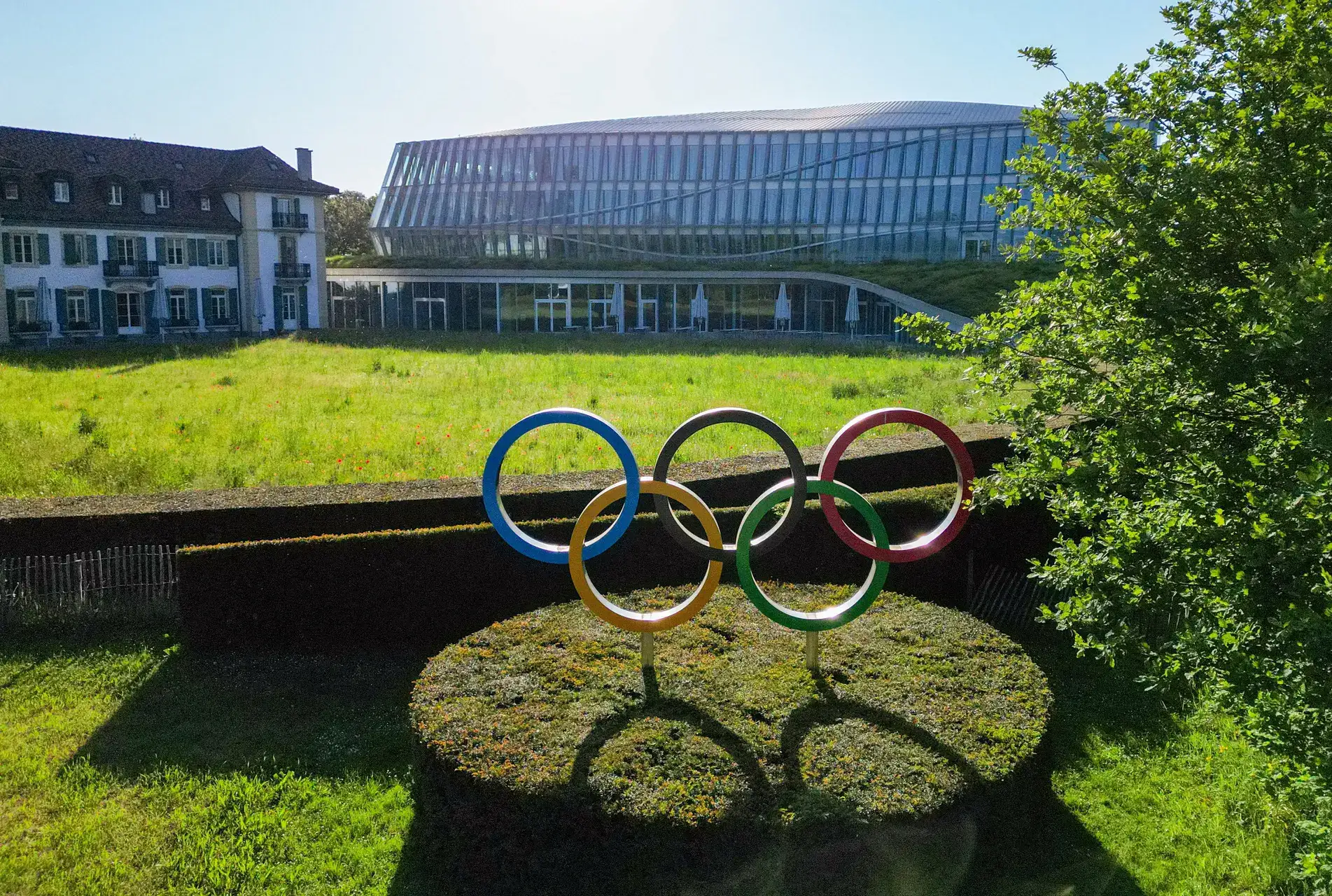 We hear Indian athletes running away when there's doping control: International Testing Agency head