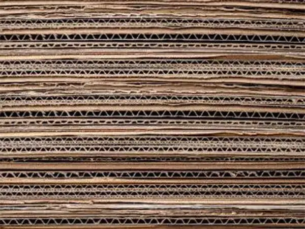 Government extends minimum import price on Multi-Layer Paper Board till September 30
