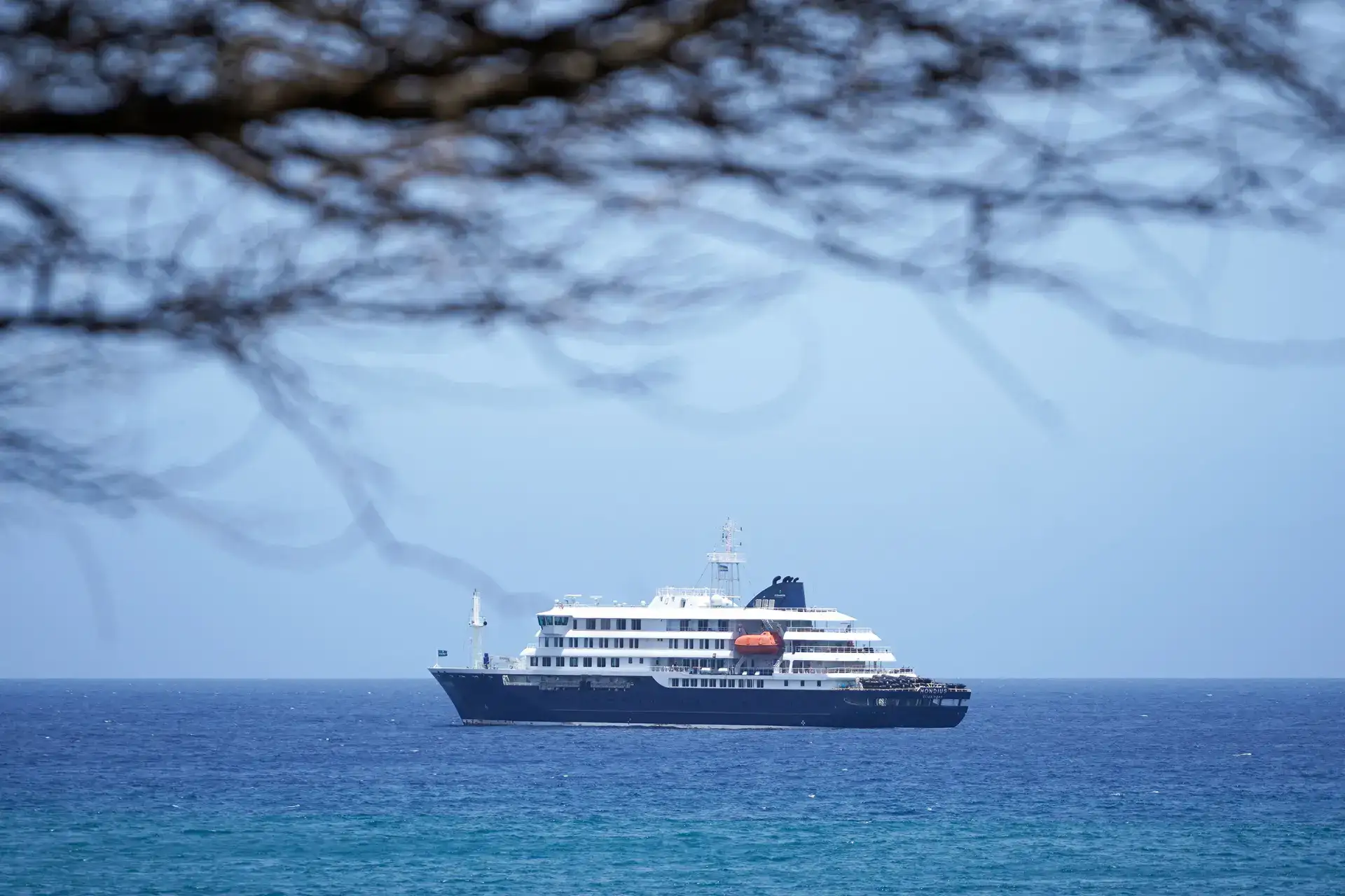 Hantavirus outbreak on cruise ship: Symptoms, treatment, infections in north America