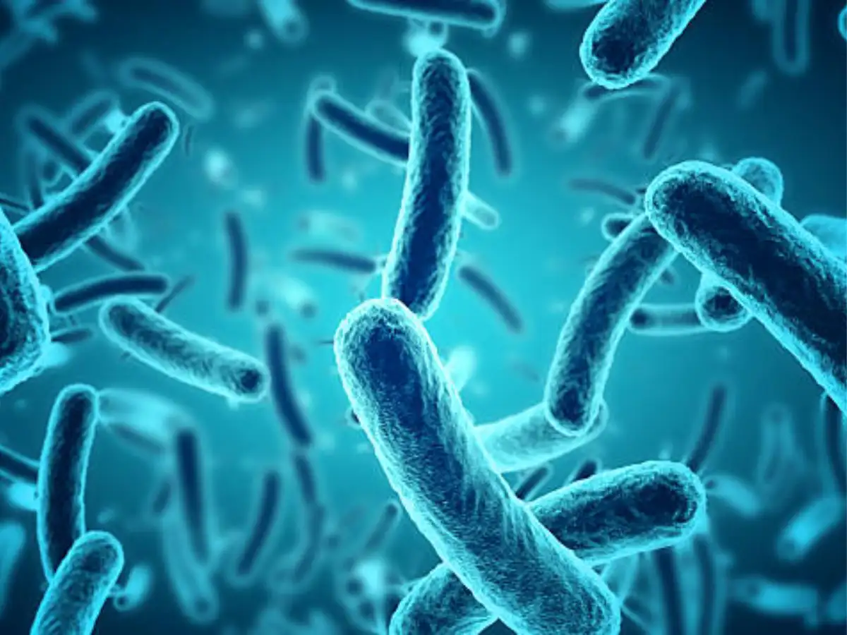 Venus Remedies expands Latin America presence with Argentina nod for antibiotic