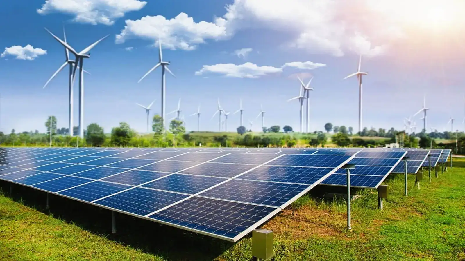 Waaree Renewable to acquire 55% stake in Associated Power Structures for Rs 1,225 crore