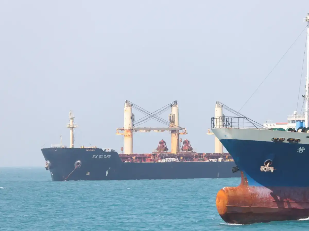 Tehran forms authority to control shipping in Hormuz