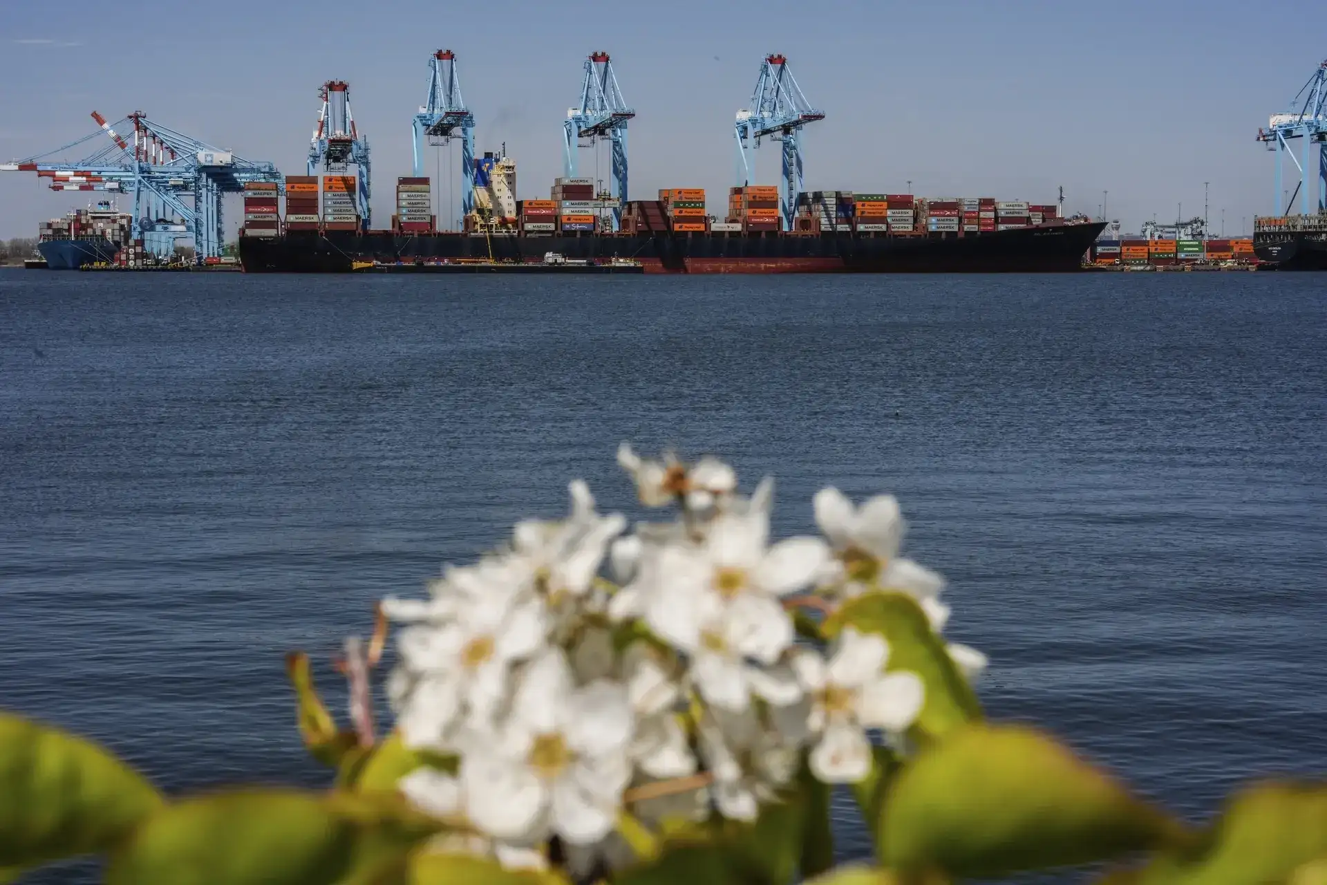 Some 1,500 ships trapped in Gulf due to Iran conflict: IMO