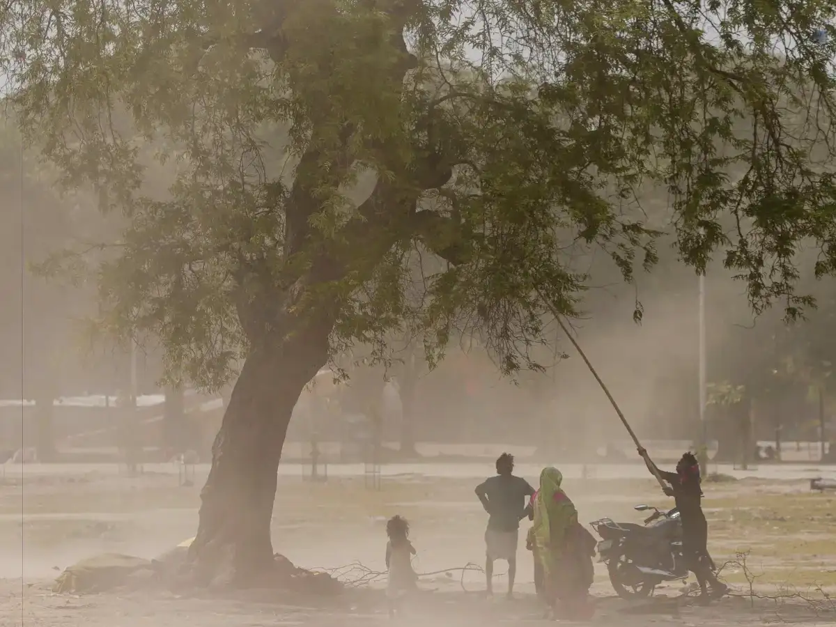 Asia heat waves spell double trouble for economies hit by oil