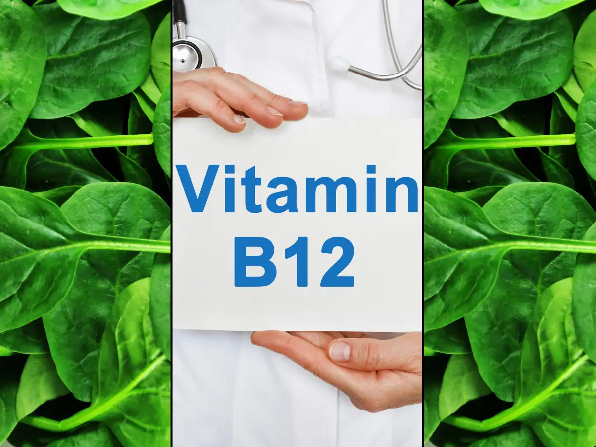 Are millions aging faster because of hidden vitamin B12 deficiency? New Cornell University research links low B12 to muscle weakness and metabolic decline