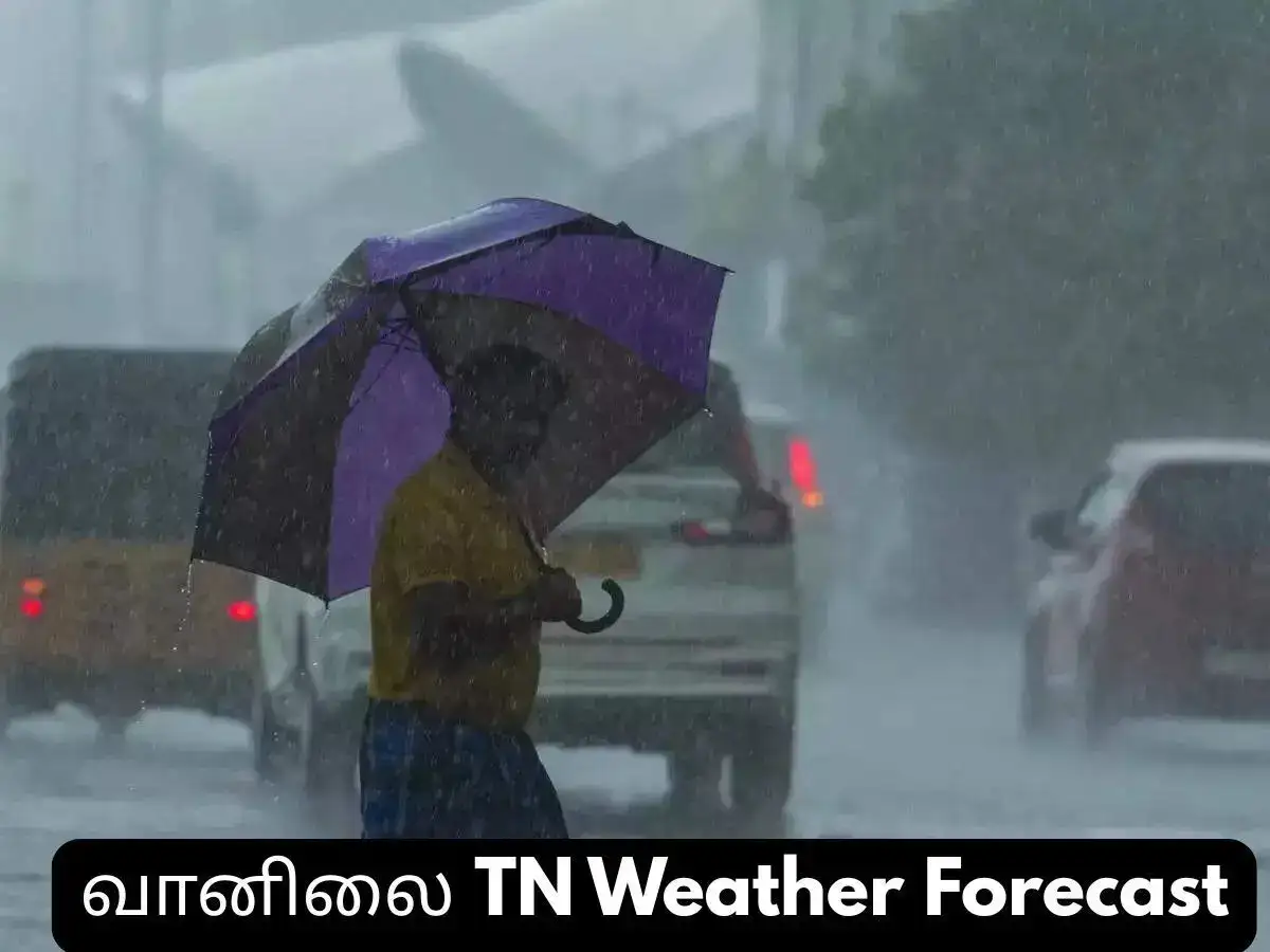 Weather Tamil Nadu: Check forecast for Chennai, Coimbatore, Mayiladuthurai, Peravurani and other districts