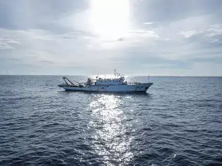US says two dead, one survivor in latest boat strike