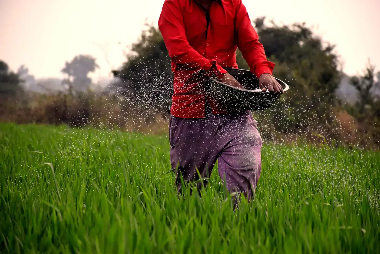 IBA seeks 10% compulsory fermented organic manure blending target by 2030