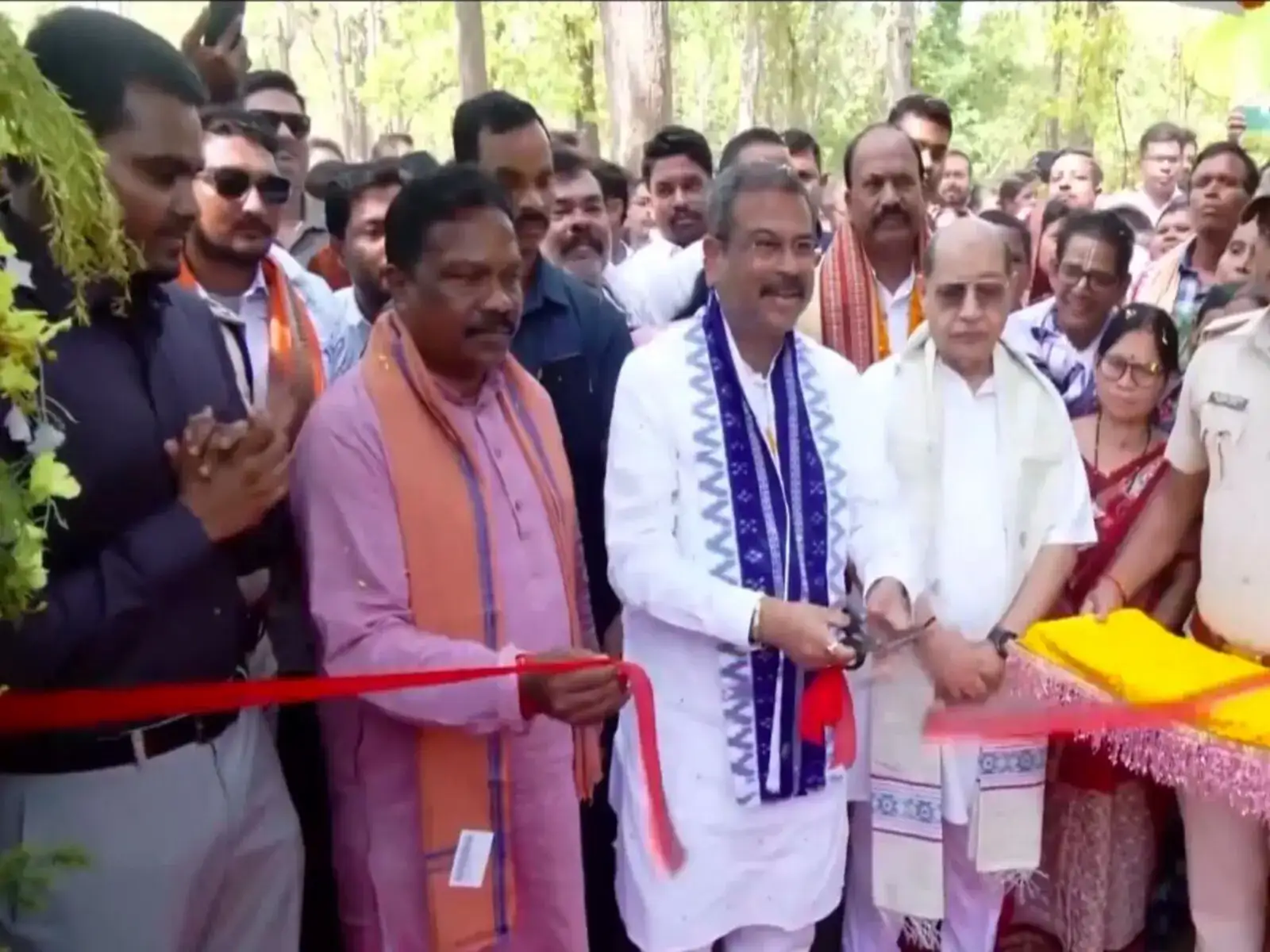 10 thousand years old Bhima Mandali to be developed as Global Heritage site: Union Minister Dharmendra Pradhan