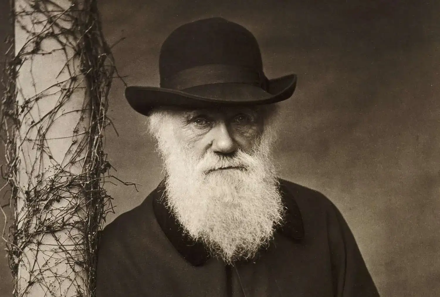 Quote of the day by Charles Darwin: “If I had my life to live over again, I would have made a rule to read some...” — The profound wisdom from the evolution pioneer: Ignoring music, poetry, and beauty can slowly rob the human soul of happiness