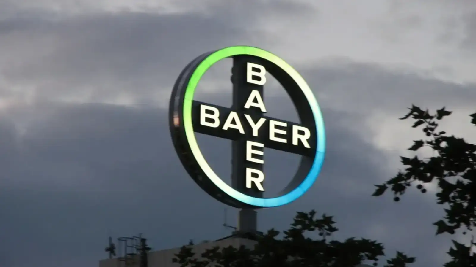 Bayer bets big on 'self-care' market to deepen India play