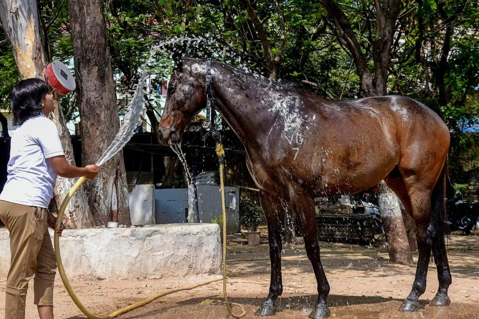 Telangana, Andhra Pradesh weather today: Hyderabad hits season’s highest temperature, Vizag and Kurnool to see extreme heatwave