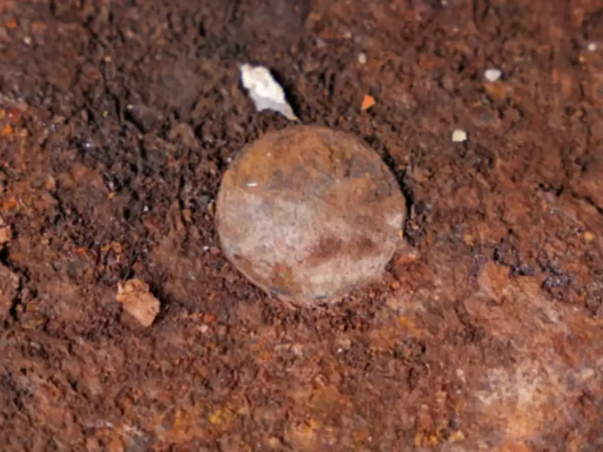Six 19th-century coins found hidden under HMS Victory's masts, revealing a centuries-old maritime tradition