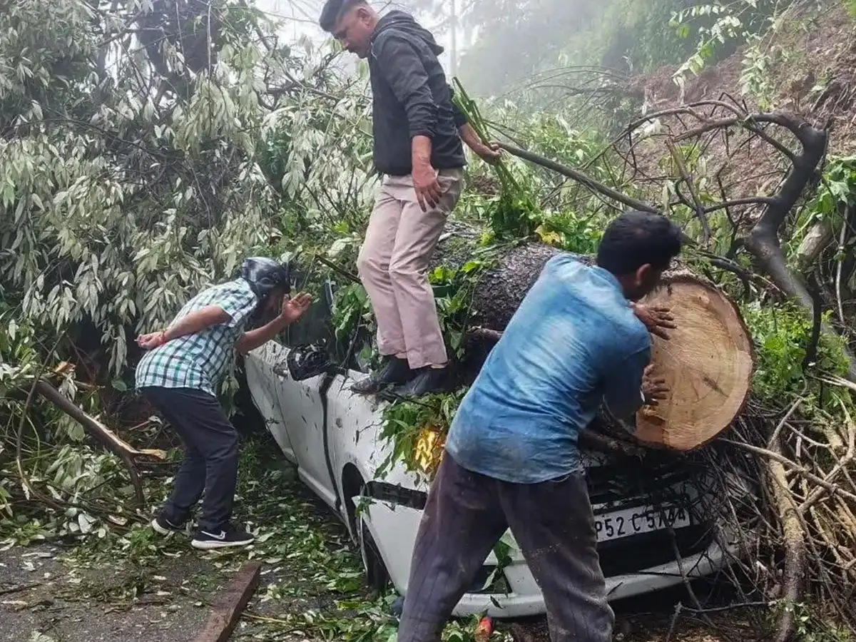 2025 landslide in Shimla Act of God, NHAI tells NGT, rejects compensation claim