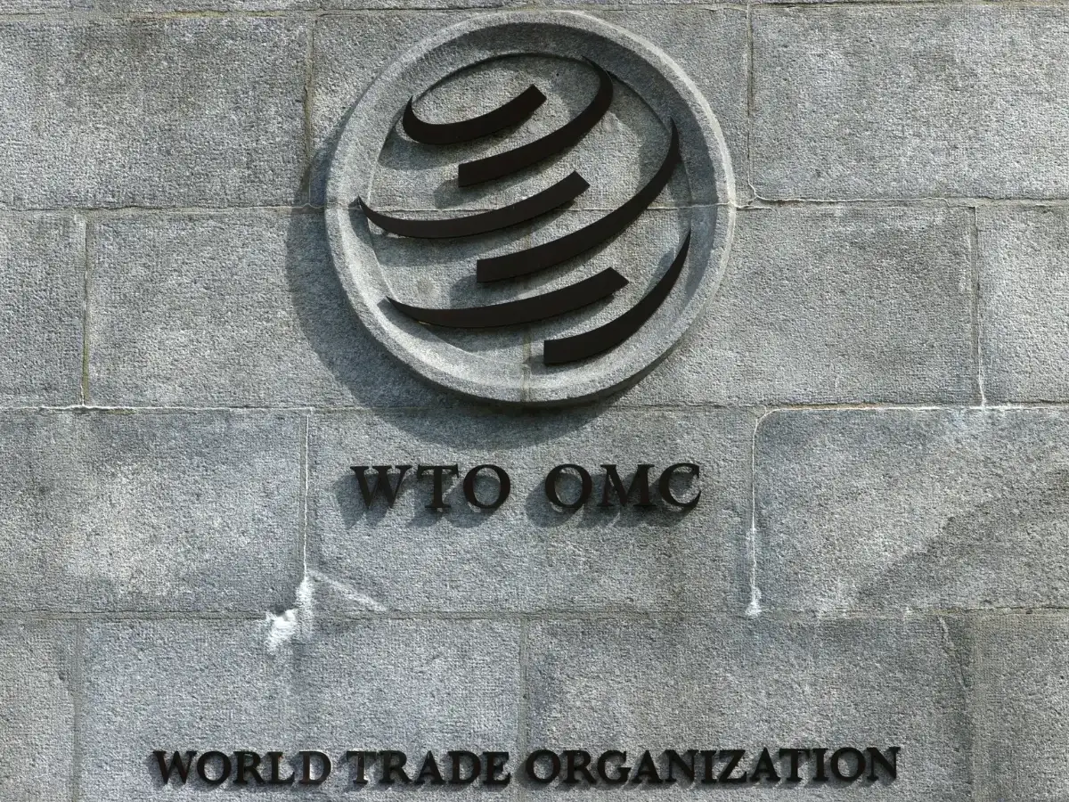 India blocks China's request for solar, IT dispute panel at WTO