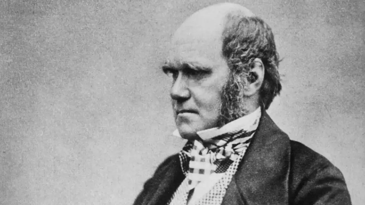 Quote of the day by Charles Darwin: 'Only picture to yourself a nice soft wife on a sofa with good fire, & books & music.' - thoughts of world's most famous biologist on marriage