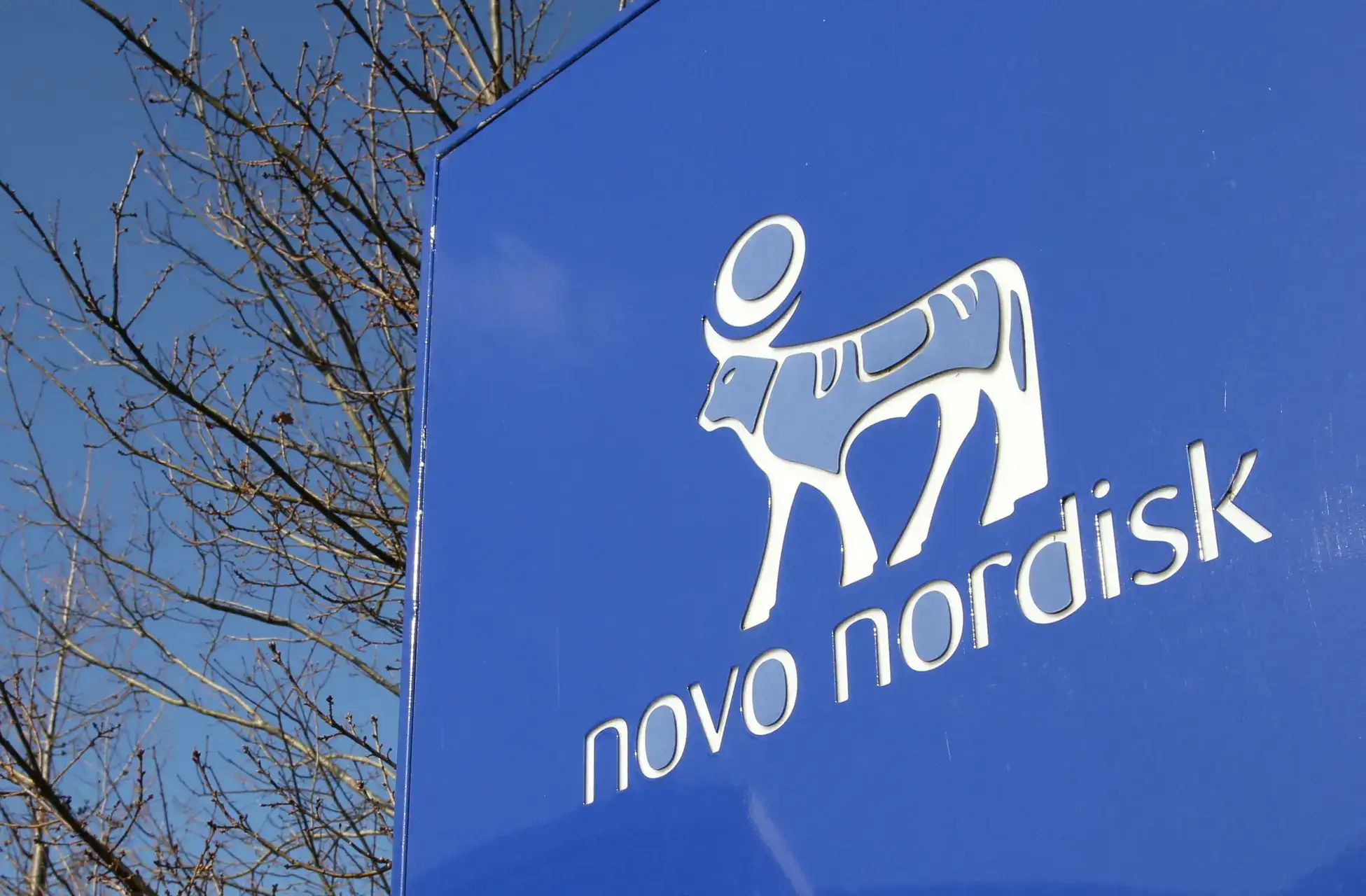 Novo Nordisk — source image