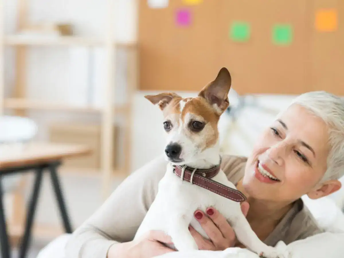 5 dog breeds known for hunting and chasing snakes