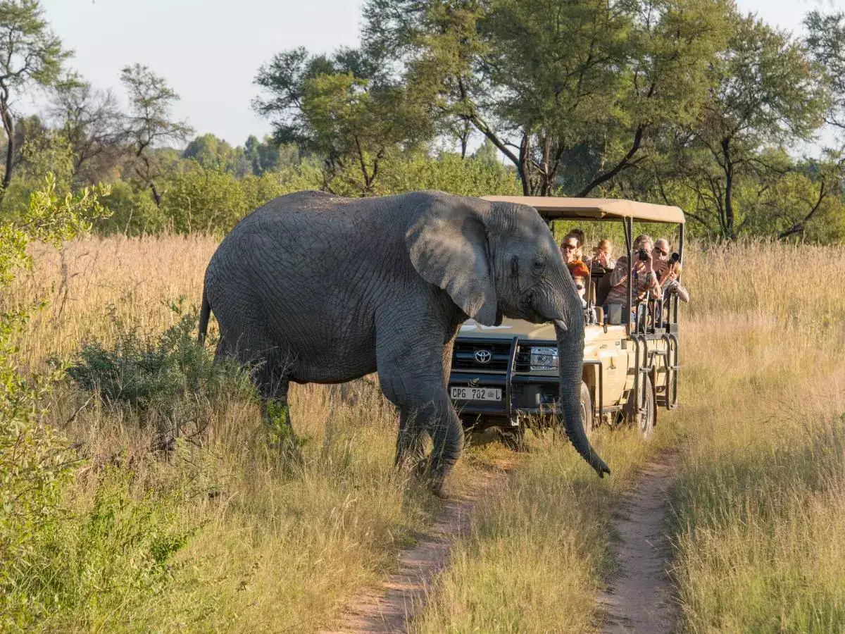 Tourists killed in South Africa national park: Authorities