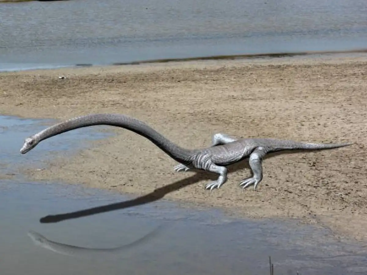 Conceptual design of the Tanystropheus Conceptual design of the Tanystropheus