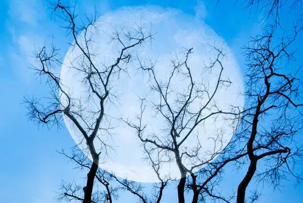 Rare Blue Moon 2026 set to shake every zodiac sign: Here’s what the powerful lunar event means for you