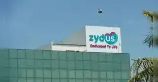 Zydus Lifesciences buyback alert! Last date to buy shares to participate in Rs 1,100 crore buyback at 7% premium