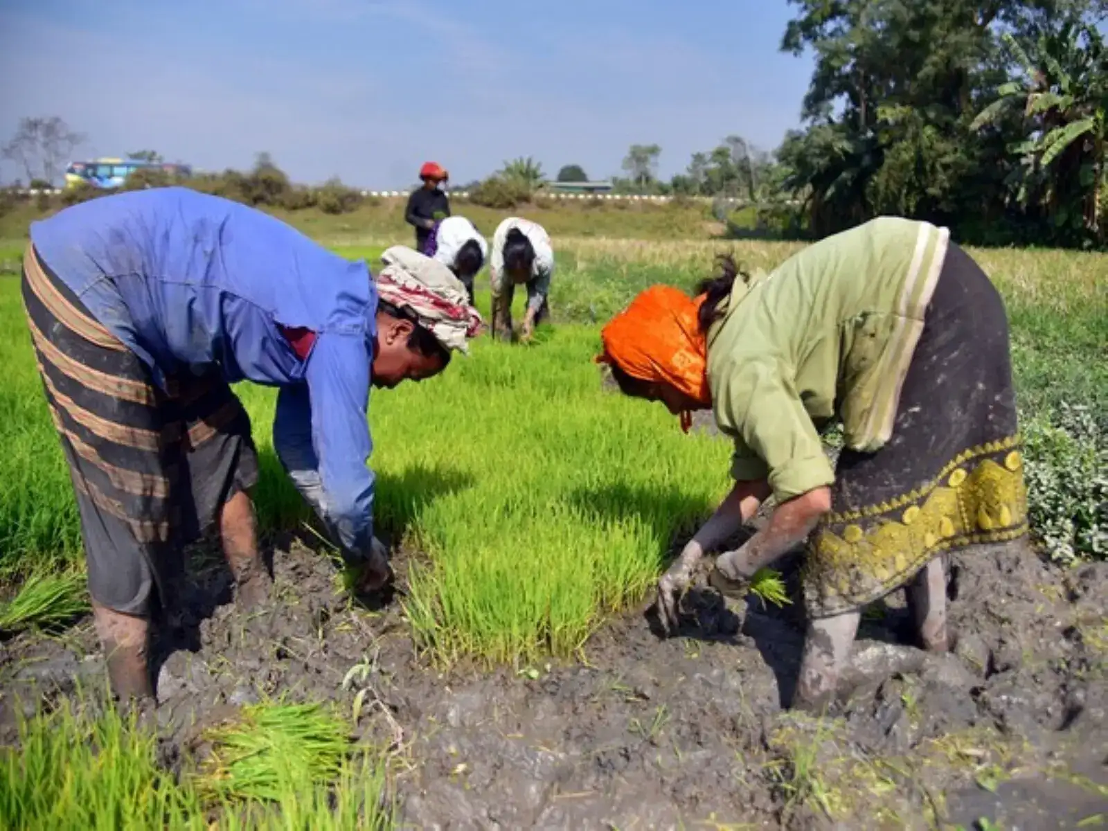 Govt readies contingency plans to counter El Nino threat to kharif season: Shivraj Singh Chouhan