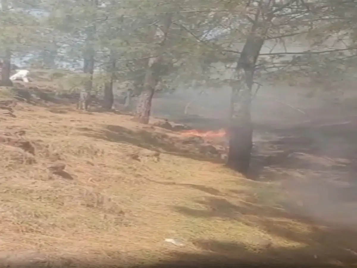 J-K: Massive forest fire erupts at multiple locations in Rajouri forest division