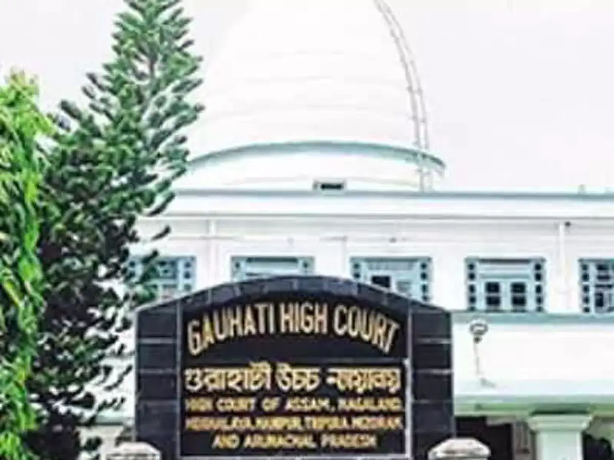 Guwahati ring road faces wildlife scrutiny after HC intervention