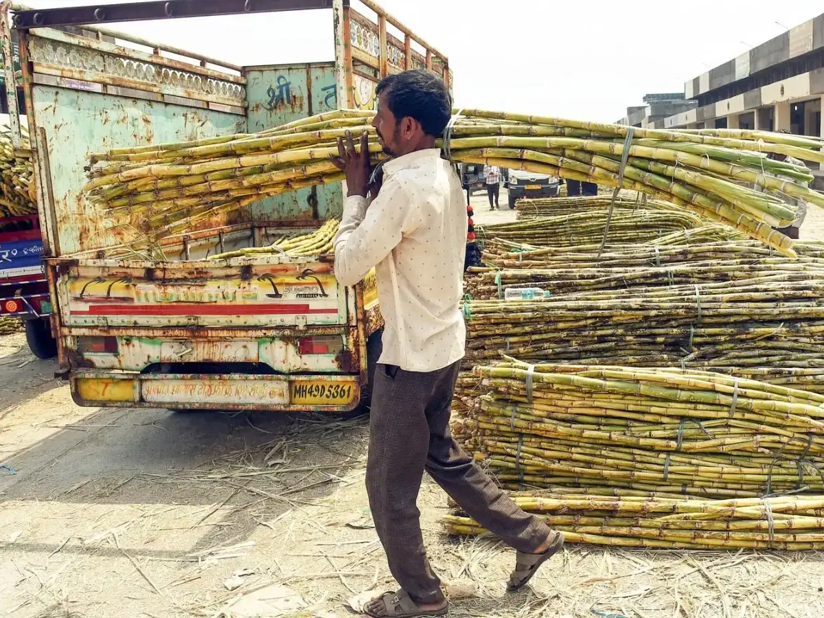 Centre withdraws draft sugarcane order after objections from states, stakeholders
