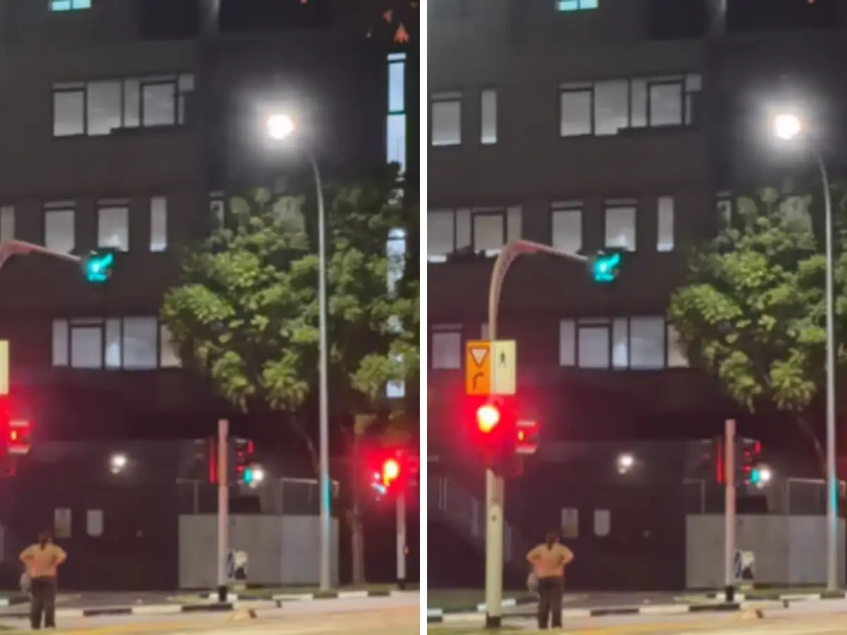 ‘Small habits shape a country’: 1 AM Singapore video shows a person waiting for green signal, goes viral