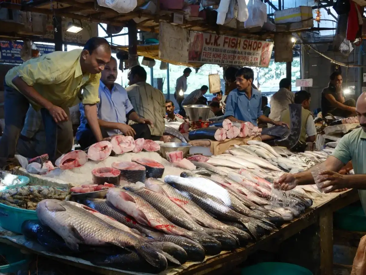 India's seafood exports hit record high in FY 2025-26: Frozen shrimp leads growth