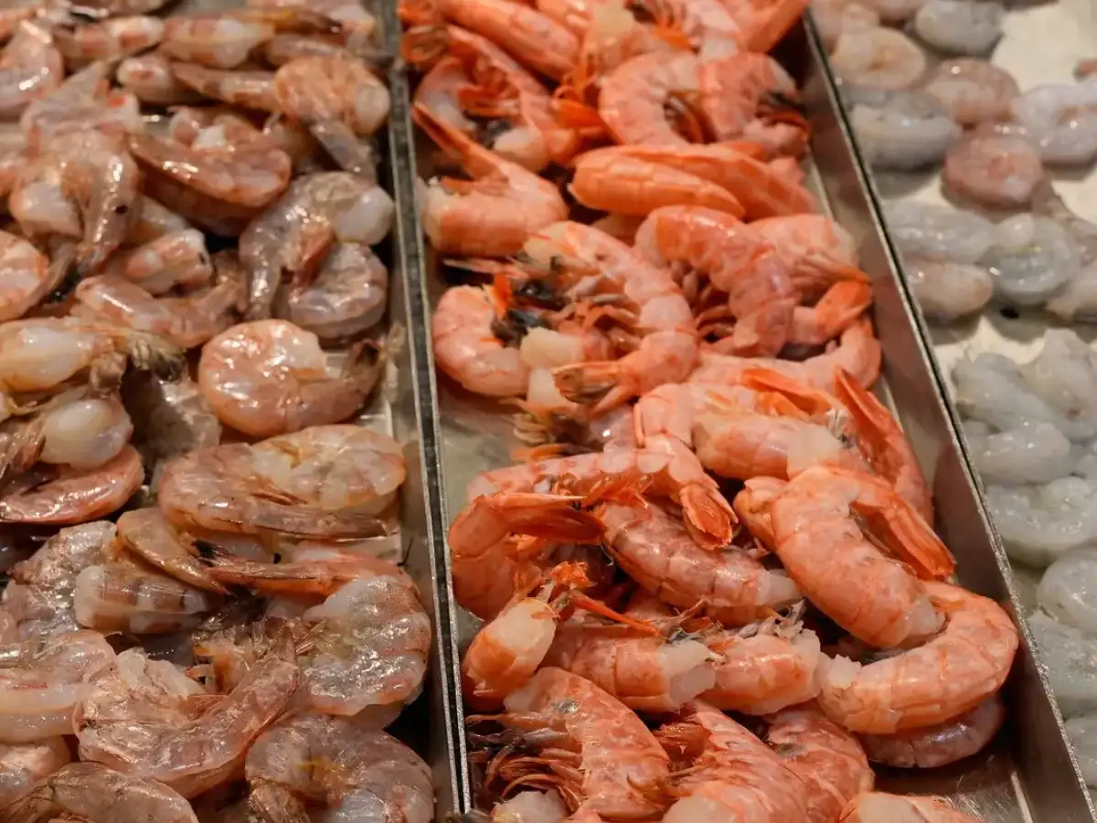Shrimp startup Aquapulse bags Rs 45 crore to connect farmers with global buyers
