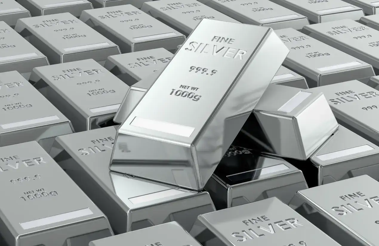 Silver imports via authorised channels only